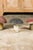 Mid 20th Century Set of Three American Midcentury Painted Concrete Mushroom Garden Ornaments For Sale - Image 11 of 12
