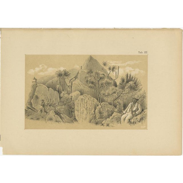 19thC This rare antique illustration depicts the ascent and summit of the Christoffelberg, the highest peak on the island...