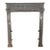 Antique Neoclassical Style Cast Iron Fireplace Insert For Sale