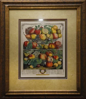 A September Harvest: Botanical Etching, Circa 1732