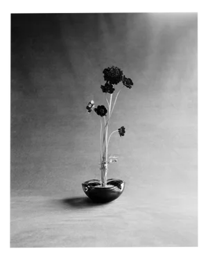 Blooms in Vase- Analogue Black and White Floral Photography, Limited Edition 20 2024