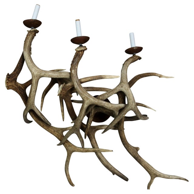 1960s Antler Wall Sconces, Three-Light - A Pair For Sale - Image 5 of 5