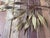 1960s Tree Sculpture from Daniel dHaeseleer For Sale - Image 5 of 12