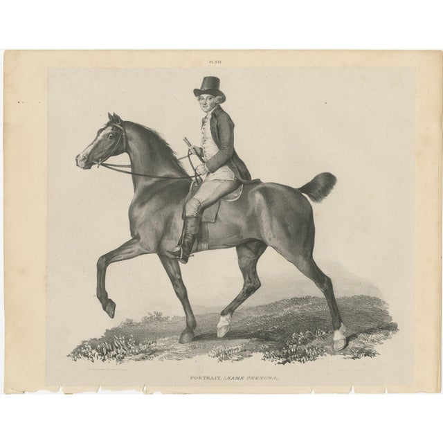 Maxim Gauci, Regency Horse & Rider Portrait, Lithograph, 1840 For Sale - Image 3 of 10