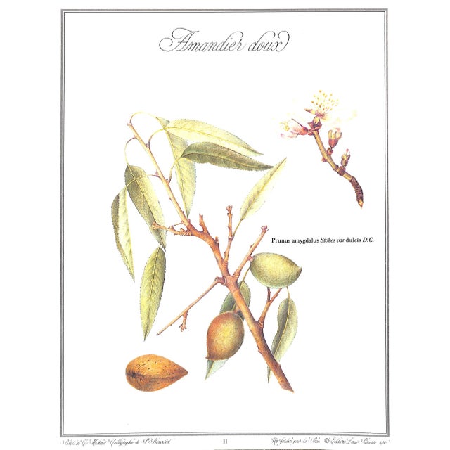 1980s "Un Jardin Pour La Peau" 1986 Delaveau, Pierre/ Clair, Genevieve For Sale - Image 5 of 11