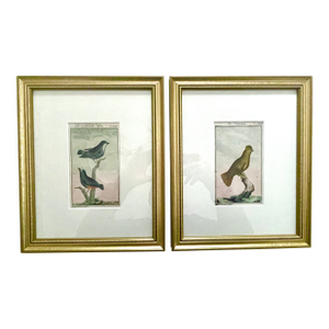 French Nicholas Martinet (1731-1800) Hand Colore in Gilt Wood Frames, Set of Two