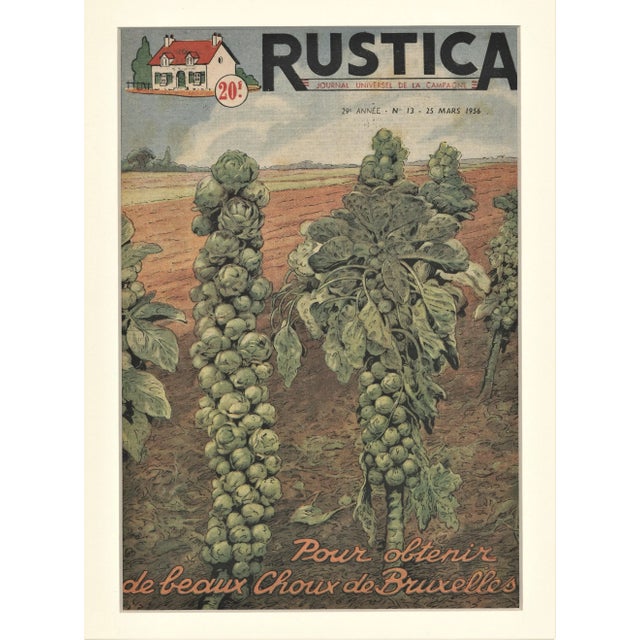 This is one of a grouping of Mid-Century 1950's vegetable prints perfect for your country kitchen! It is cover art for a...