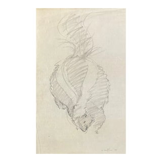 1959 Neil Meitzler Skunk Drawing For Sale