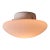 Small Sergio Mazza 'Magnolia' Opaline Glass Ceiling or Wall Lamp for Quattrifolio For Sale
