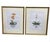 Chinoiserie Pair of Vintage Framed Chinoiserie Orchid Botanical Prints – Orange & Pink Floral Art For Sale - Image 3 of 12