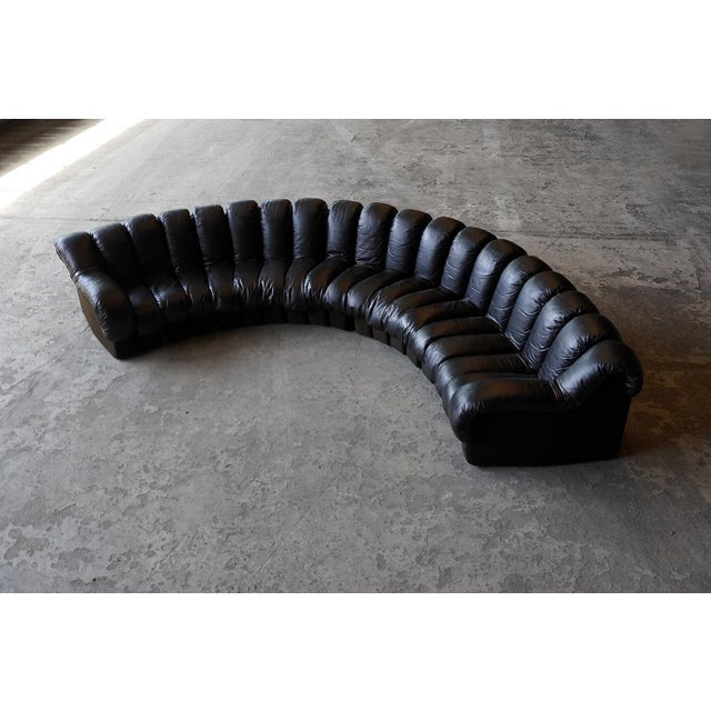Black Ds600 Snake Sofa in Black Leather by Ueli Berger for de Sede, Switzerland, 1970s, Set of 19 For Sale - Image 8 of 8