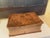 Mid 19th Century Webster Dictionary For Sale - Image 4 of 11