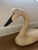 American Large Folk Art Antique Painted Wooden Swan Decoy For Sale - Image 3 of 6