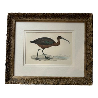 Hand Colored 1870s Engraving Framed in Antique Frame For Sale