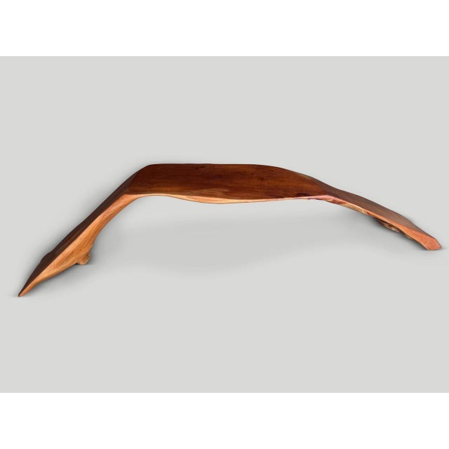 2010s Andrianna Shamaris Impressive Mahogany Wood Bench Or Sculpture For Sale - Image 5 of 5