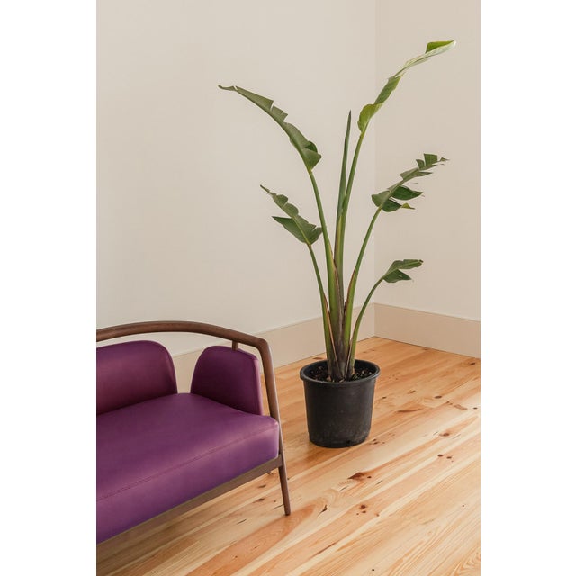 Essex Purple Leather Sofa by Javier Gomez For Sale - Image 4 of 8