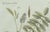 Bertuch, Rubber and Gum Arabic Trees, 1802, Engraving For Sale - Image 4 of 9