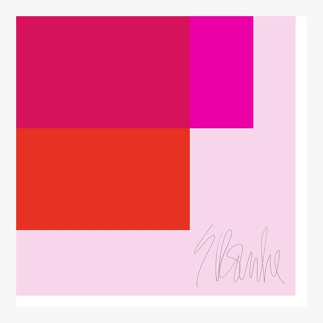 Not Yet Made - Made To Order The Interaction of Deep Hot Pink and Red on Light Pink Fine Art Print 35" X 45" by Liz Roache For Sale - Image 5 of 5
