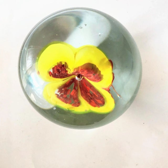 French Large Glass Egg Shaped Paper Weight With Stunning Floating Petunia For Sale - Image 3 of 6