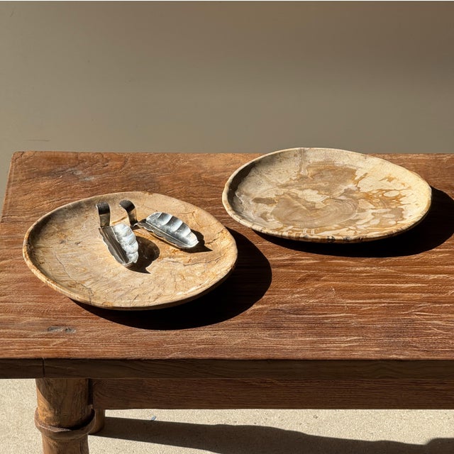 Small trinket dish or tray made of petrified wood. Petrified wood is a fossilized wood (from the same family as magnolia)...