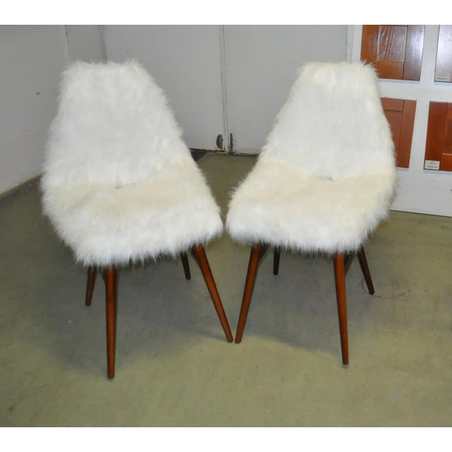 Set of Erika Side Chairs by Judit Burián for SZKIV, 1959 For Sale - Image 9 of 9