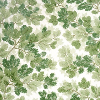 SAMPLE - Schumacher Covey Hedge Wallpaper In Sage For Sale