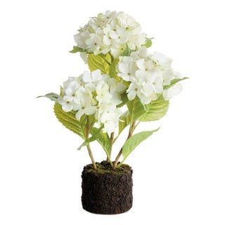 Hydrangea Drop-In 18" For Sale