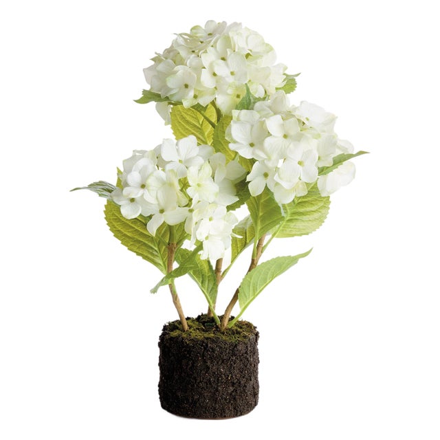 Hydrangea Drop-In 18" For Sale