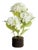 Hydrangea Drop-In 18" For Sale