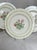 Mid-Century Modern Theodore Haviland New York Garden Flower Dinner Plates- Set of 3 For Sale - Image 3 of 7
