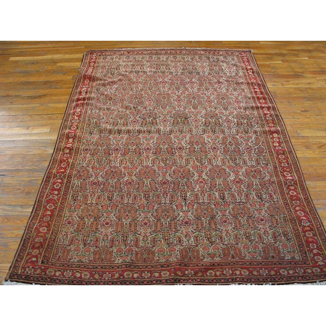 Antique senneh Persian rug. Size: 4'2" x 6'4". Antique Senneh Persian Ivory 1880s Rug, Circa Date: 1880s. This exceptional...