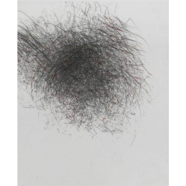 Jaanika Peerna (Estonian, 1971), Puff Series, Graphite and Colored Pencil on Mylar, 2013, signed, titled, and dated to the...