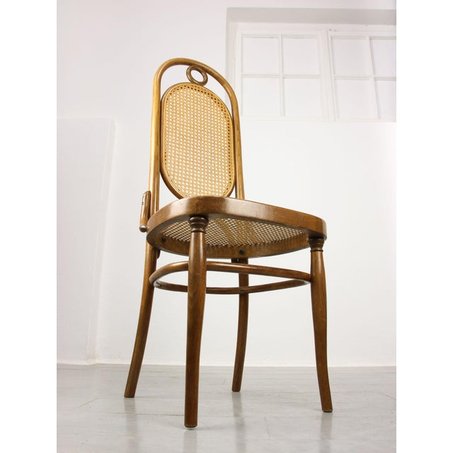 1970s 207R Dining Chairs from Thonet, 1970s, Set of 2 For Sale - Image 5 of 18