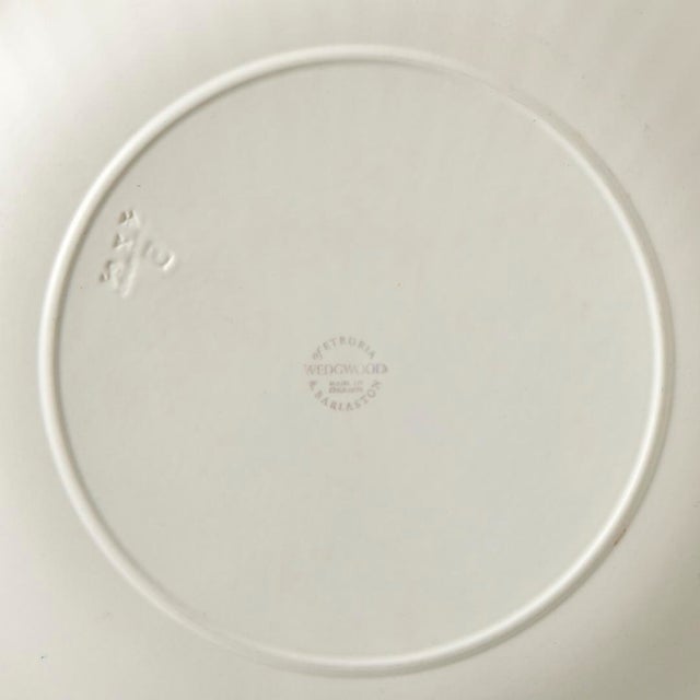 Late 19th Century Wedgwood Nautilus Plates- Set of 6 For Sale In Providence - Image 6 of 7