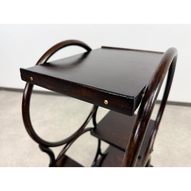 Wood Vienna Secession 4-Tier Bentwood Plant Stand from Thonet, 1910 For Sale - Image 7 of 10
