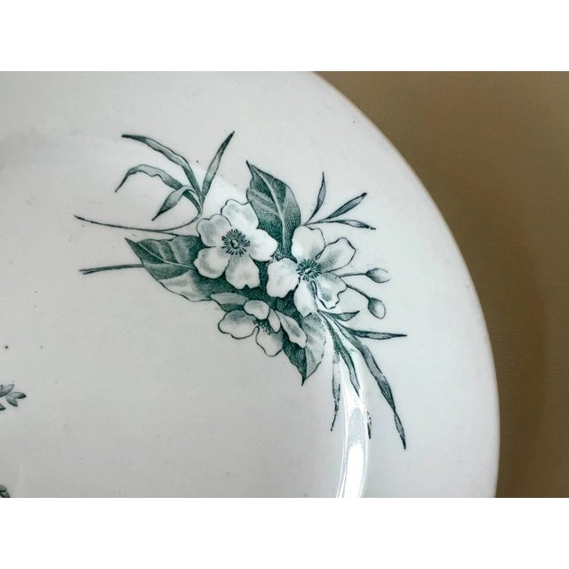 Antique Italian Botanical Plates | s.c.r. Linneo Green Transferware Set (20cm) For Sale - Image 10 of 18