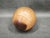 Vintage Leather Medicine Balls, Czechoslovakia 1950s, Set of 2 For Sale - Image 6 of 9