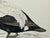 Paper Antique Hand Tinted Bird Print From England Featuring a Brown, Black & White Eider Duck - Circa 1888 For Sale - Image 7 of 10