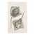 1804 Stingray Engraving | George Shaw Antique Nautical Print For Sale