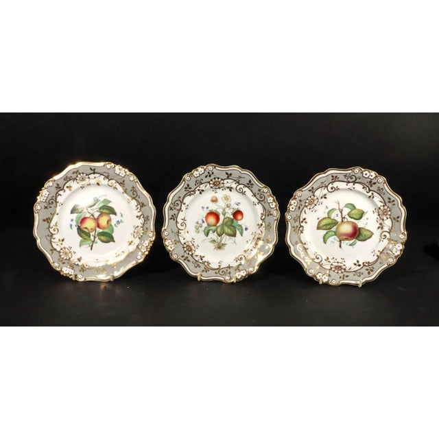 Early 19th Century English Porcelain Botanical Fruit Dessert Service, Attributed to Coalport Circa 1830 For Sale - Image 5 of 11