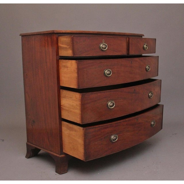 Antique Mahogany Bowfront Chest, 1810 For Sale - Image 9 of 11