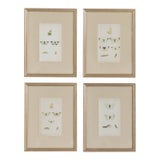 19th C. Hand Colored Butterfly Engravings From England - Set of 4 For Sale