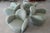 Michael Wolk “Miami” Swivel Lounge Chairs — Set of Four, 1998 For Sale - Image 9 of 18