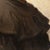 Félix Alfred Bonnet, Portrait Young Woman with a Braid, 1897, Oil on Canvas For Sale - Image 7 of 10