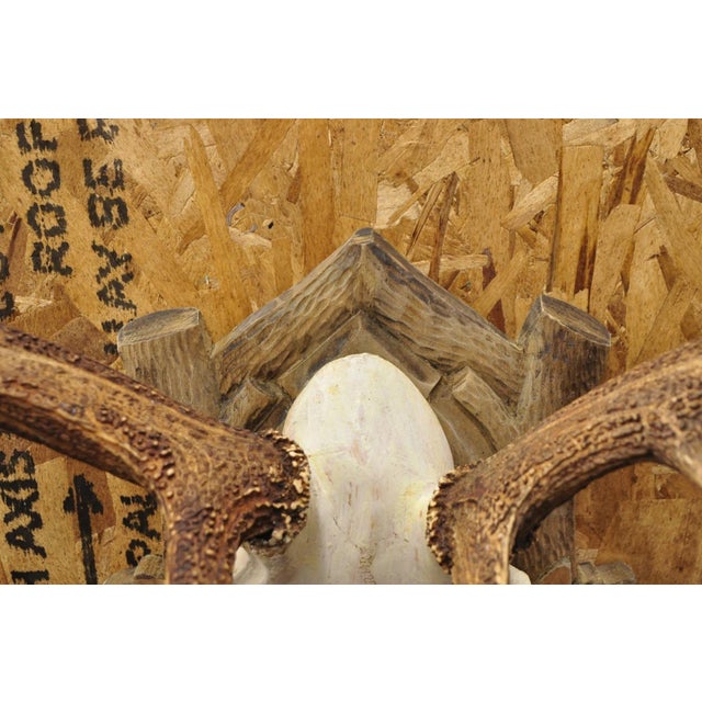 Antique Black Forest Victorian Wall Mounted Taxidermy Large Deer Skull & Antlers For Sale - Image 9 of 15