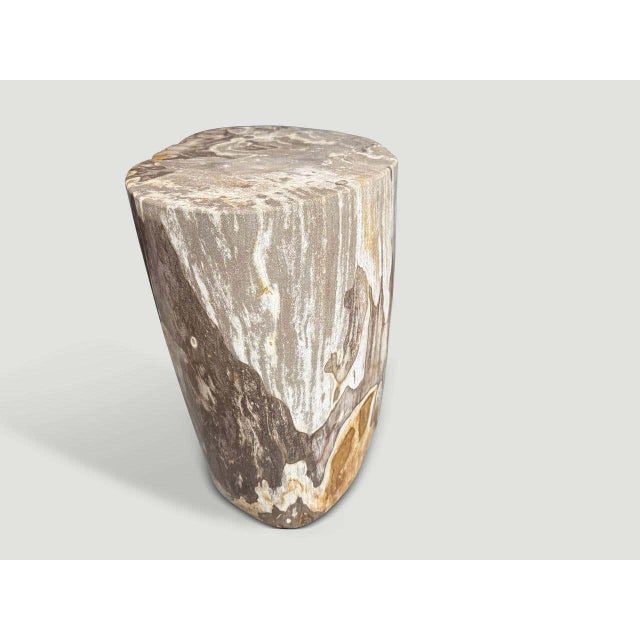 Contemporary Andrianna Shamaris Impressive High Quality Ancient Petrified Wood Side Table For Sale - Image 3 of 6