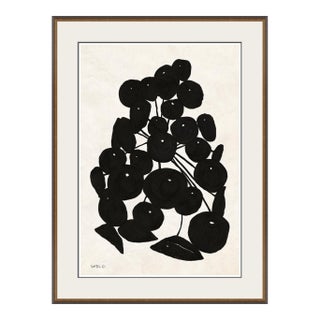 Sedum Cluster I by Susan Hable For Sale