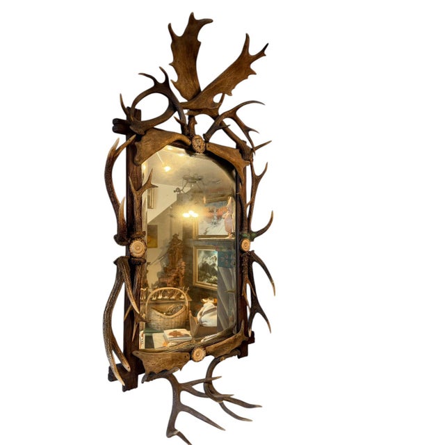 Beautiful German Antler mirror. Fallow, roe and red deer antlers Dog carved rosette