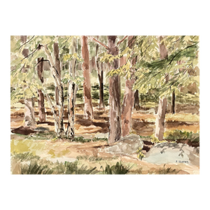 1950s Elizabeth Slater Forest Ladnscape Watercolor