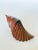 Nautical Vintage Large Carved Ironwood Conch Shell Sculpture Objects, a Pair For Sale - Image 3 of 16